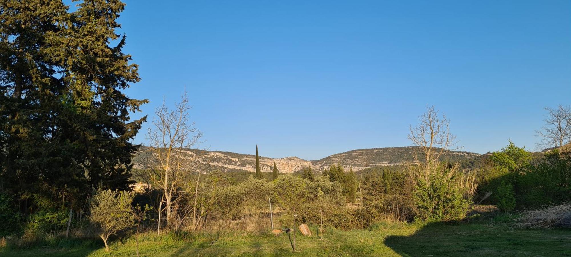 Bed and Breakfast La Bastide Des Arts Saumane-de-Vaucluse Exterior foto