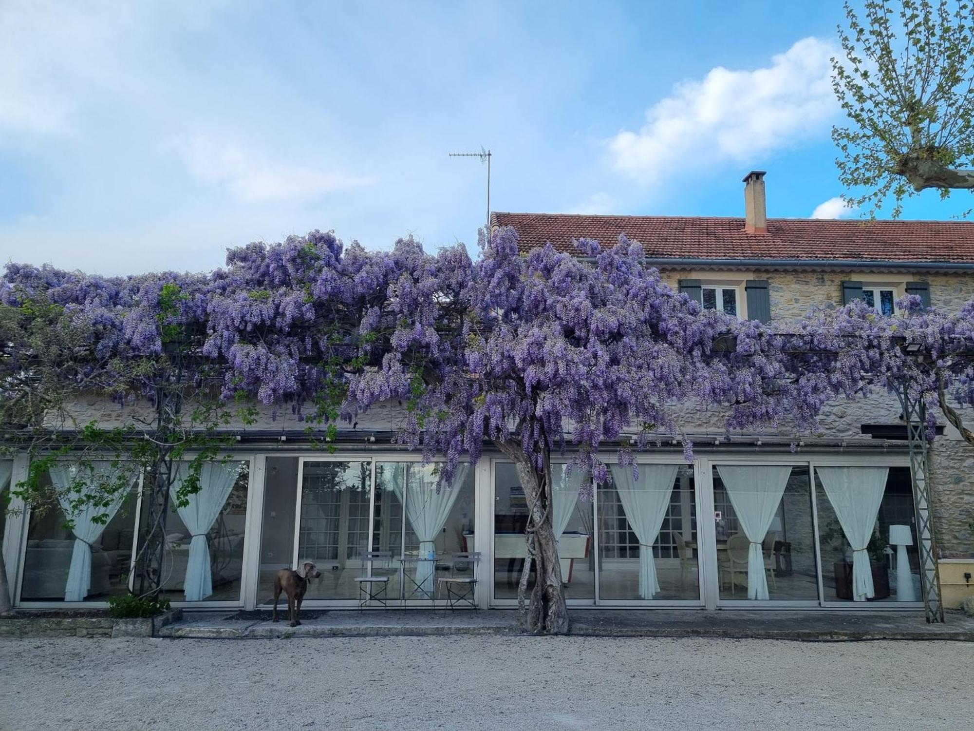 Bed and Breakfast La Bastide Des Arts Saumane-de-Vaucluse Exterior foto